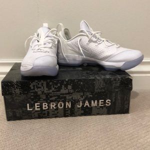 Lebron James basketball shoes